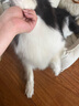 愛犬島寵物狗狗沐浴露祛味香波卷毛長毛犬洗澡浴液護毛素香噴 絲滑香波500ml 曬單實拍圖