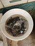 釣魚打窩器手竿野釣拋投餌器沉底打底漁具筏釣精準(zhǔn)遠(yuǎn)投定點(diǎn)打食器 黑色【中號9.5cm】-1個(裸裝) 曬單實(shí)拍圖