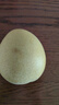 安徽正宗碭山酥梨梨子酥脆當(dāng)季新鮮水果香梨脆雪梨特產(chǎn)整箱包郵 凈重8.5斤【酥脆一號-口感更脆甜 曬單實拍圖