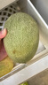 京鮮生 金色年華蜜瓜2-3粒 凈重8-9斤 生鮮水果 源頭直發(fā) 曬單實(shí)拍圖