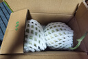 京鮮生蜜蜂授粉牛三蜜瓜網(wǎng)紋瓜單果1.5斤起凈重4.5-5斤 2-3粒裝源頭直發(fā) 曬單實(shí)拍圖