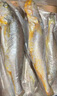 鮮京采 冷凍三去黃花魚(yú)(寧德大黃魚(yú))1700g (5條裝)  禮盒  生鮮 海魚(yú) 曬單實(shí)拍圖