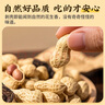 雷允上 陳皮花生 辦公室零食 花生帶殼炒貨休閑小吃 3袋450g 曬單實(shí)拍圖