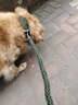 PETALONG八股繩項圈式狗狗牽引繩中大型犬狗鏈子金毛遛狗繩防爆沖拴狗p鏈 軍綠色（繩長1.5米） L碼（雙排扣，適合40-70斤） 曬單實拍圖
