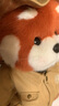 莉娜熊（TeddyTales）莉娜小熊貓玩偶毛絨玩具熊泰迪手作熊娃娃送禮送人女生生日禮物 探險(xiǎn)家3.0版中號(hào) 30cm禮盒裝 曬單實(shí)拍圖
