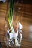 安心香蔥100g 曬單實拍圖