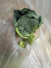 當季西蘭花新鮮現摘現發(fā)西蘭花蔬菜農家應季時(shí)令菜鮮嫩精選 3斤 曬單實(shí)拍圖