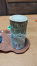 九月生巴西木水培植物幸運木桌面綠植盆栽辦公室室內(nèi)水養(yǎng)小盆景 曬單實拍圖