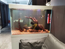 歐寶魚缸水族箱客廳大型家用生態(tài)玻璃水族箱金魚缸屏風玄關(guān) 1米長 側(cè)濾 曬單實拍圖