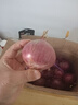 限時(shí)特惠】山東洋蔥蔥紫皮紅皮洋蔥現挖圓蔥頭正宗大果紫洋蔥新鮮 限時(shí)鉅惠：速搶//帶箱 9斤 -小果 曬單實(shí)拍圖
