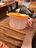 特百惠（Tupperware）微波460ml水晶湯碗可加熱學生上班族便攜露營野餐飯盒單個裝橙色 曬單實拍圖