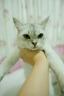 索尼FE 16mm F1.8 G 全畫幅大光圈超廣角定焦G鏡頭 (SEL16F18G) SEL16F18G 曬單實拍圖