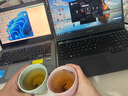 宜家（IKEA）GULDBARB古德巴杯子水杯馬克杯咖啡杯簡(jiǎn)約北歐風(fēng)杯子 杯子230毫升 曬單實(shí)拍圖