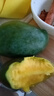 京喜加凱特芒果當(dāng)季新鮮生鮮水果甜心熱帶現(xiàn)摘現(xiàn)發(fā) 帶箱2斤 單果300g+ 曬單實(shí)拍圖