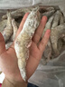 北海灣 蝦 青島大蝦鮮活冷凍基圍蝦 蝦類 海鮮水產(chǎn)生鮮白蝦青蝦海蝦對蝦 鹽凍大蝦 3.6斤(凈重)  15-17cm【單只凍 無冰衣】 曬單實拍圖