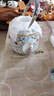 盛天下 景德鎮(zhèn)大容量中式提梁茶壺陶瓷涼水壺套裝青花瓷茶水分離帶過(guò)濾 琺瑯彩提梁茶壺-2升 曬單實(shí)拍圖
