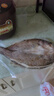 鮮京采三去海鱸魚3斤/3條 生鮮魚類 白蕉鱸魚地標(biāo) 無冰凈重3斤 源頭直發(fā) 曬單實(shí)拍圖
