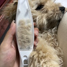 洽苒德國寵物剃毛器吸毛一體機(jī)狗狗剃腳毛貓咪修腳毛專用推子電動(dòng)修腳 白色【低音低噪-防止應(yīng)激】 曬單實(shí)拍圖