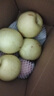 趙州皇冠梨河北皇冠梨脆甜多汁小花皮【二】 皇冠梨凈重2.5斤特惠裝 曬單實拍圖