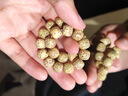 祥隱【普陀山直發(fā)】星月菩提子手串文玩佛珠盤串正宗海南老料男女禮物 老星月菩提10mm 曬單實拍圖