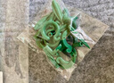 綠園匠花卉爬藤架植物防倒伏支撐桿玻纖固定盆栽護花葉花支架48厘米10支 曬單實拍圖