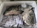 深?lèi)倓倥餐r速凍三文魚(yú)頭魚(yú)骨 瘦肉邊角料煲湯 人和寵物狗糧貓糧食材 【三文魚(yú)頭500g個(gè)】  4個(gè) 2000g 曬單實(shí)拍圖