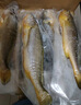 鮮京采 智利大西洋鮭魚三文魚段 凈重2斤 生鮮魚類  曬單實拍圖