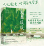 人生緩緩（簡(jiǎn)媛送給疲于生活、擰巴、焦慮、急躁的年輕人的治愈之書(shū)） 在云端 明信片隨機送1款 在路上手繪涂色卡4張 曬單實(shí)拍圖