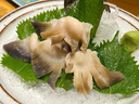 海蘊(yùn)極鮮【活鮮】鮮活北極貝 新鮮刺身貝片日料大連生海鮮馬貝北寄貝 500g(凈重)  （2-4只） 曬單實(shí)拍圖