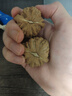 月印百川 核桃文玩白獅子古玩麻核桃手把件禮物約40-41mm+盤玩禮包 曬單實拍圖