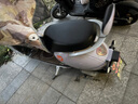 綠源電動(dòng)車擋風(fēng)被四季通用夏季加厚電瓶車擋風(fēng)被電動(dòng)車擋風(fēng)罩加寬加大防風(fēng)斗篷夏季防曬防雨 【夏季斗篷款】粉色幸運(yùn)熊-加大側(cè)翼 四季擋風(fēng)被 曬單實(shí)拍圖