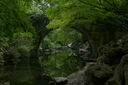 松下（Panasonic）28-200mm F4-F7.1全畫(huà)幅無(wú)反/微單鏡頭 遠(yuǎn)攝變焦長(zhǎng)焦鏡頭 掃街人像特寫(xiě)一鏡走天下 支持防抖 L卡口 曬單實(shí)拍圖