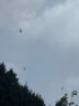新東方 初中英語詞匯詞根+聯(lián)想記憶法：亂序版 中考英語俞敏洪詞匯書新東方綠寶書 王芳直播推薦 曬單實拍圖