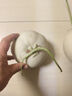 粵迎冰淇淋玉菇甜瓜新鮮水果當(dāng)季香瓜冰淇淋脆甜哈山東香瓜孕婦可吃 5斤精選果【1-5個(gè)】凈4.5斤 曬單實(shí)拍圖