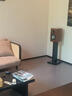 CANTON(金榜）VENTO 20 HIFI發(fā)燒級(jí)高保真6.1英寸低音喇叭單元客廳立體聲原裝進(jìn)口無(wú)源高性價(jià)比桌面書架音箱 Vento 20 - 木紋 曬單實(shí)拍圖