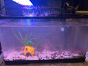 YEE魚(yú)缸過(guò)濾器凈水循環(huán)三合一水泵上置滴流盒低水位過(guò)濾盒過(guò)濾箱 【濾材款/贈白棉】三層 25W 1800L 曬單實(shí)拍圖