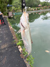 國王路亞水面拖拉機浮水鉛筆路亞假餌淡水鱸魚(yú)翹嘴仿生假擬餌 17克/X03色 曬單實(shí)拍圖
