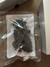 海晏堂 大連淡干海參 50g 12-18只 遼刺參 海參干貨海鮮 曬單實拍圖