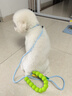 TAIGEPETS狗狗牽引繩p繩p鏈小型大型中型犬狗鏈牽狗遛狗訓(xùn)犬寵物防爆沖狗繩 海茵藍(lán)【100斤內(nèi)】長(zhǎng)1.6m粗0.6cm 曬單實(shí)拍圖