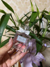 迪奧DIOR迪奧小姐花漾女士淡香水50ml花香留香香氛禮盒生日禮物送女生 曬單實拍圖
