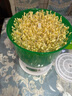 XKJ德國(guó)豆芽機(jī)家用全自動(dòng)小型綠豆芽花生芽發(fā)芽盆器發(fā)芽菜工具生豆芽 雙層 曬單實(shí)拍圖