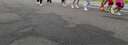 回力（Warrior）童鞋運動鞋男女童休閑小白鞋百搭兒童跑步鞋 WZ(CL)-0246 白色 32 曬單實拍圖