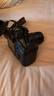 佳能 Canon 1DX 單機5D3 5D4全畫(huà)幅二手單反相機5DII 5DIII EOS 5D Mark II/5D2 85新 曬單實(shí)拍圖