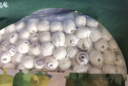 方家鋪?zhàn)又腥A老字號(hào) 蓮子400g 湘潭磨皮白蓮子去芯 百合桂圓銀耳羹食材 曬單實(shí)拍圖