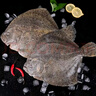 新食道多寶魚(yú)【大規格】 新鮮活凍比目魚(yú) 精選海捕海鮮水產(chǎn) 3條（600g左右/條） 曬單實(shí)拍圖