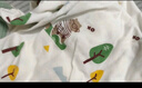 翹腳鴨（Tiptoe Duck）嬰兒衣服新生兒夏季薄款連體衣寶寶內(nèi)衣貼身睡衣 熊博士2件 73cm 曬單實(shí)拍圖