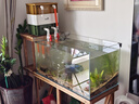 森森魚(yú)缸周轉箱過(guò)濾箱魚(yú)池過(guò)濾器水循環(huán)系統整套上濾滴流盒過(guò)濾盒 小號三層 箱體+全套濾材+水泵 曬單實(shí)拍圖