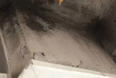雨虹防水堵漏寶基層快速堵漏涂料屋頂裂縫隙快干水泥塑鋼泥衛(wèi)生間堵漏王 底涂型 2kg*1袋【基層找平】 堵漏寶 曬單實(shí)拍圖