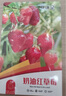 花沃里奶油草莓種子1000粒 紅草莓蔬菜種子四季種草莓苗室內外陽(yáng)臺盆栽 曬單實(shí)拍圖