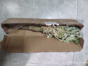 不帶根新鮮艾草艾葉端午節(jié)艾蒿帶葉帶桿掛門窗艾葉草驅(qū)蚊艾葉 帶葉帶桿30cm高以上10棵 曬單實拍圖